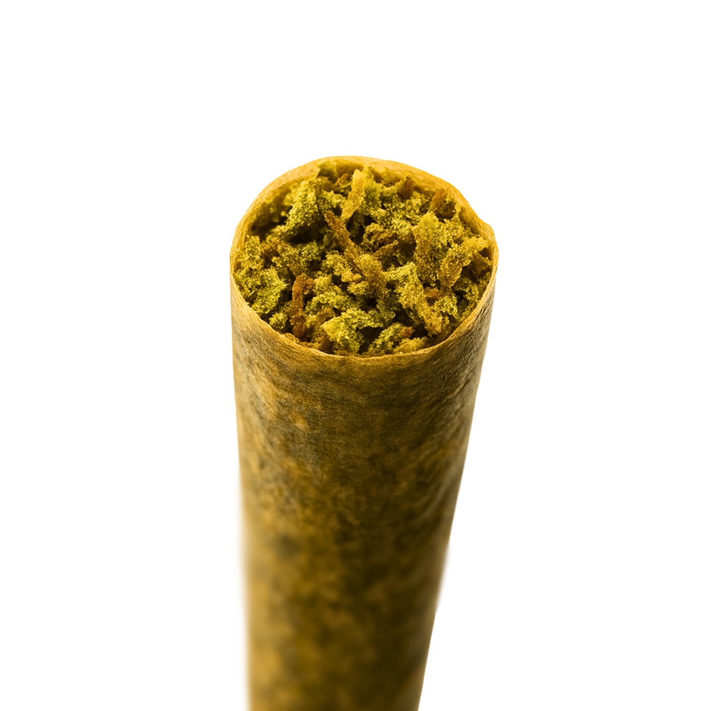 Préroulés - Amnésia 🌱