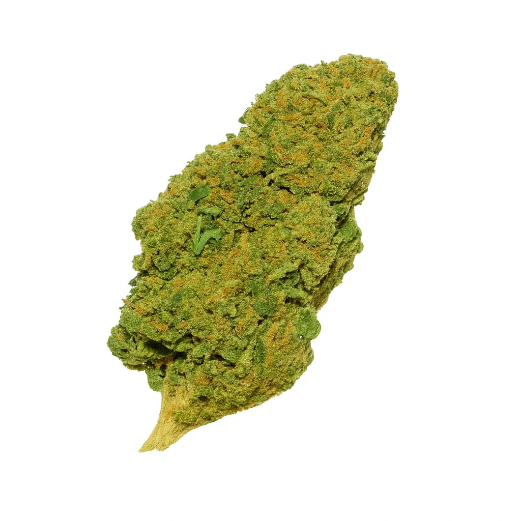 đ Orange Bud đ (OFFERT)