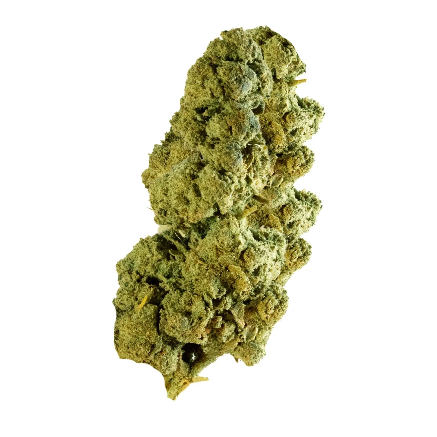 🎁 Jack Herer 🌞 (OFFERT)