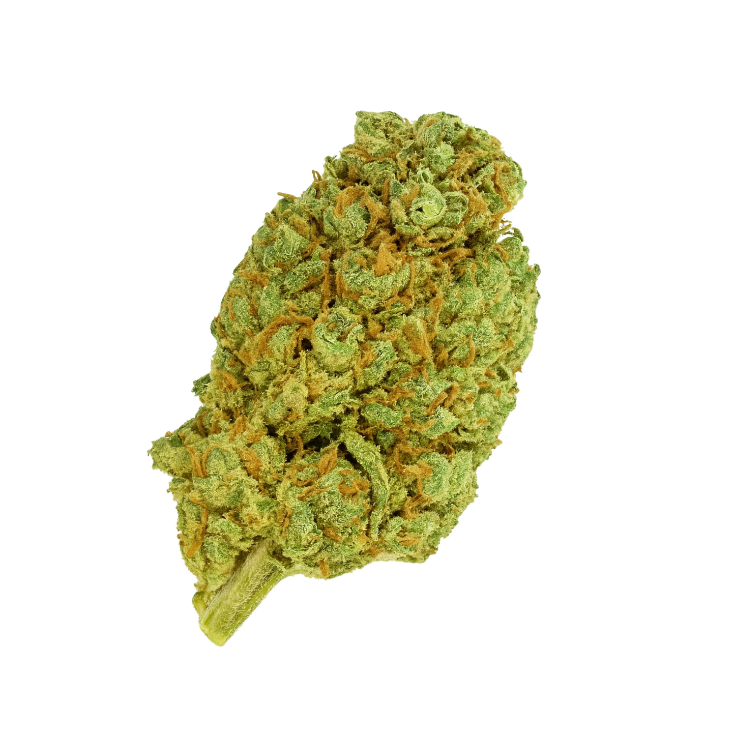 đ Cali Dream đ (OFFERT)