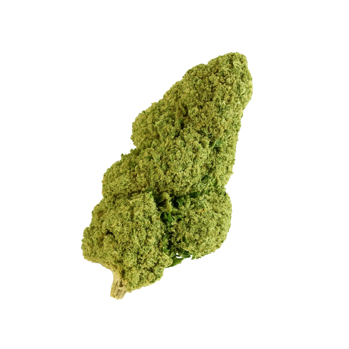 🎁 OG Kush 🌾 (OFFERT)