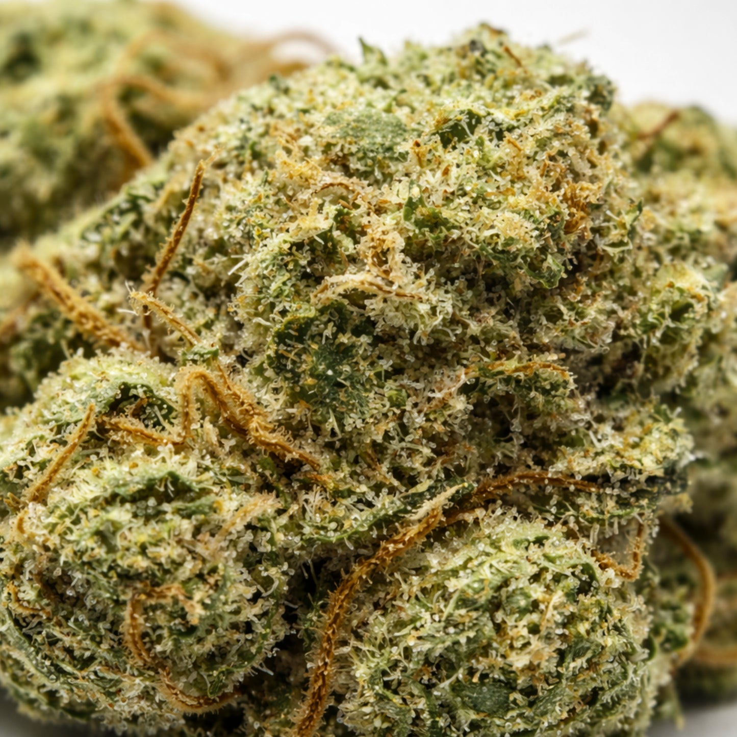 White Widow - Popcorn đż