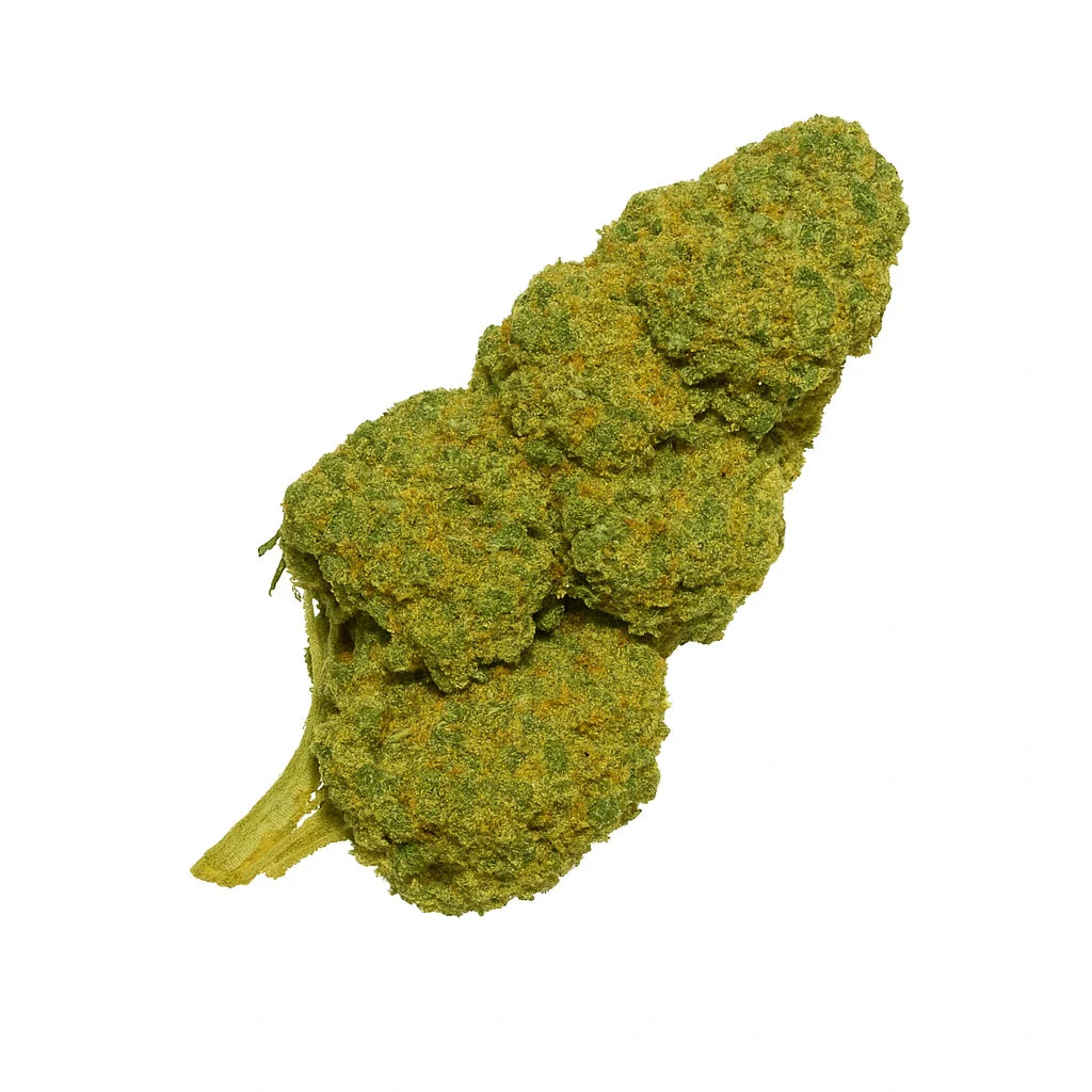 🎁 White Widow 🌊 (OFFERT)