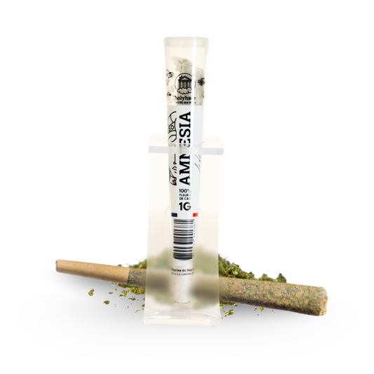 Préroulés - Amnésia 🌱