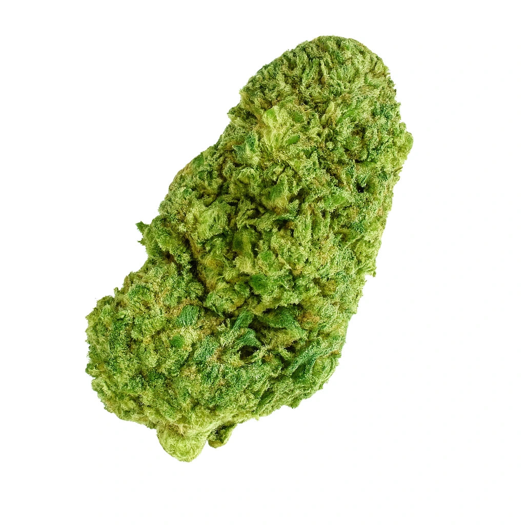 Fleur de CBD Amnesia Cryo Holy Haze aux arômes citronnés