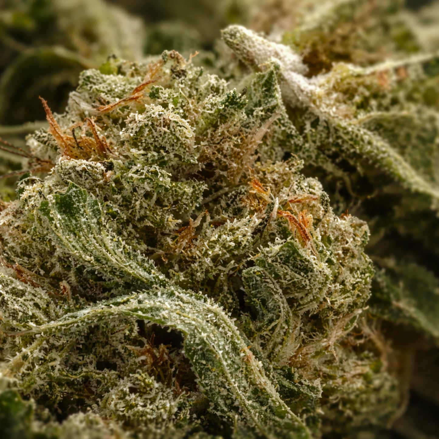 La Bonne Affaire 🌿 - CBD Pas Cher