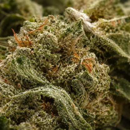 La Bonne Affaire 🌿 - CBD Pas Cher