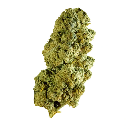🎁 Jack Herer 🌞 (OFFERT)