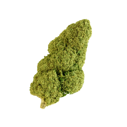 🎁 OG Kush 🌾 (OFFERT)